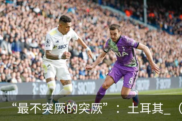 “最不突厥的突厥”：土耳其 （中土网友大战系列之一）