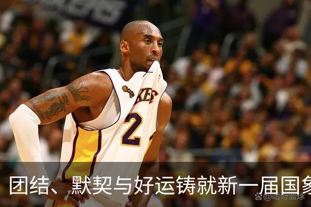 团结、默契与好运铸就新一届国象奥赛女团冠军