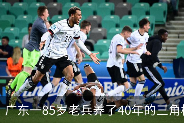 广东一85岁老兵养了40年的三角梅“火了”，开成“浪漫花屋”，网友：看哭了