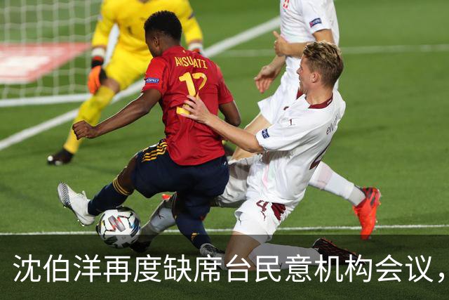 沈伯洋再度缺席台民意机构会议，翁晓玲批“薪水小偷”，吁尽快辞职