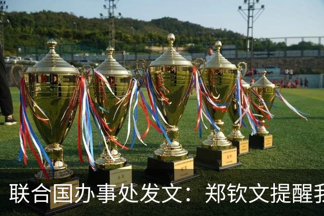 联合国办事处发文：郑钦文提醒我们，挫折并不是故事的终点