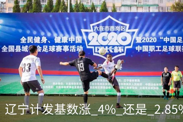 辽宁计发基数涨 4% 还是 2.85%，这笔账得看基金脸色