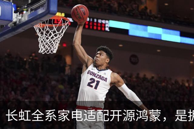 长虹全系家电适配开源鸿蒙，是拥抱生态更是求生