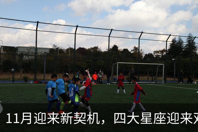 11月迎来新契机，四大星座迎来双重利好，良绿敲门，收入稳步上涨
